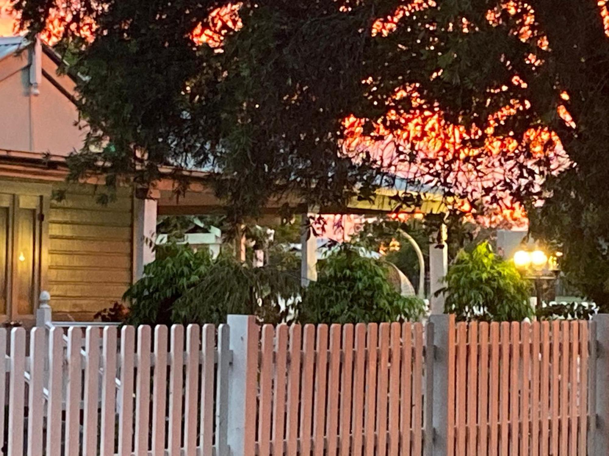 Birches B&B Taree Zewnętrze zdjęcie