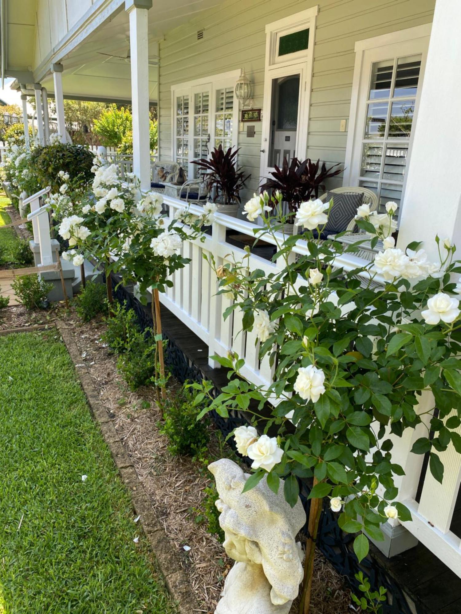 Birches B&B Taree Zewnętrze zdjęcie